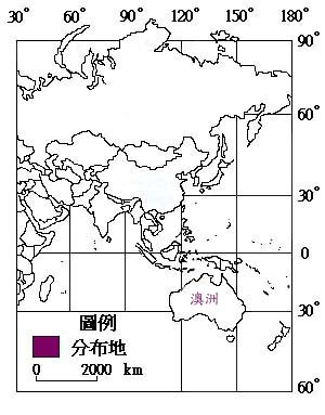 南洋杉主要分布地