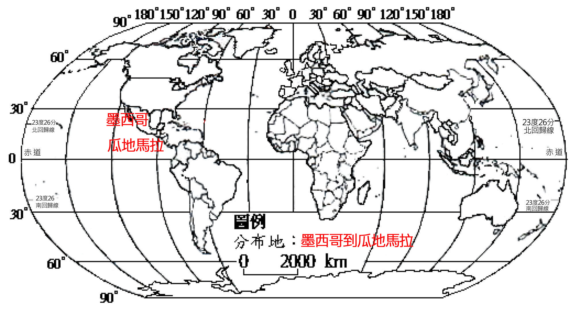 218-055-01 姬曇花