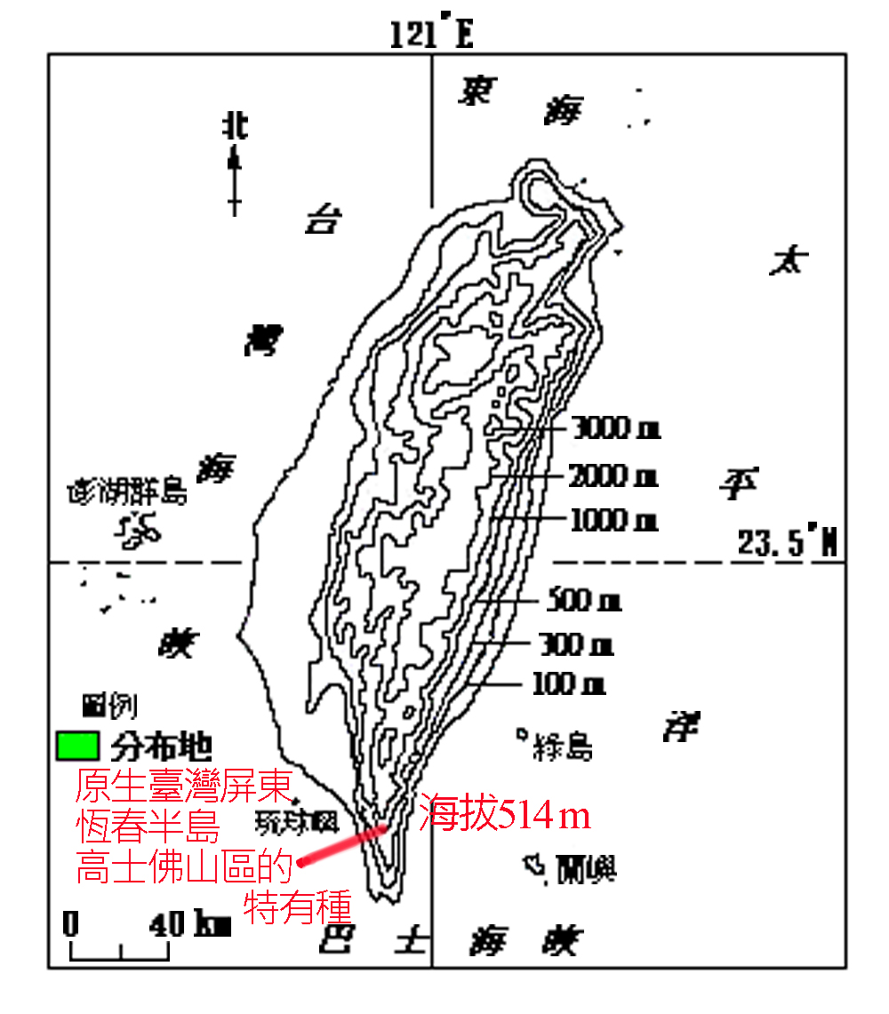 300-137-01 高士佛澤蘭