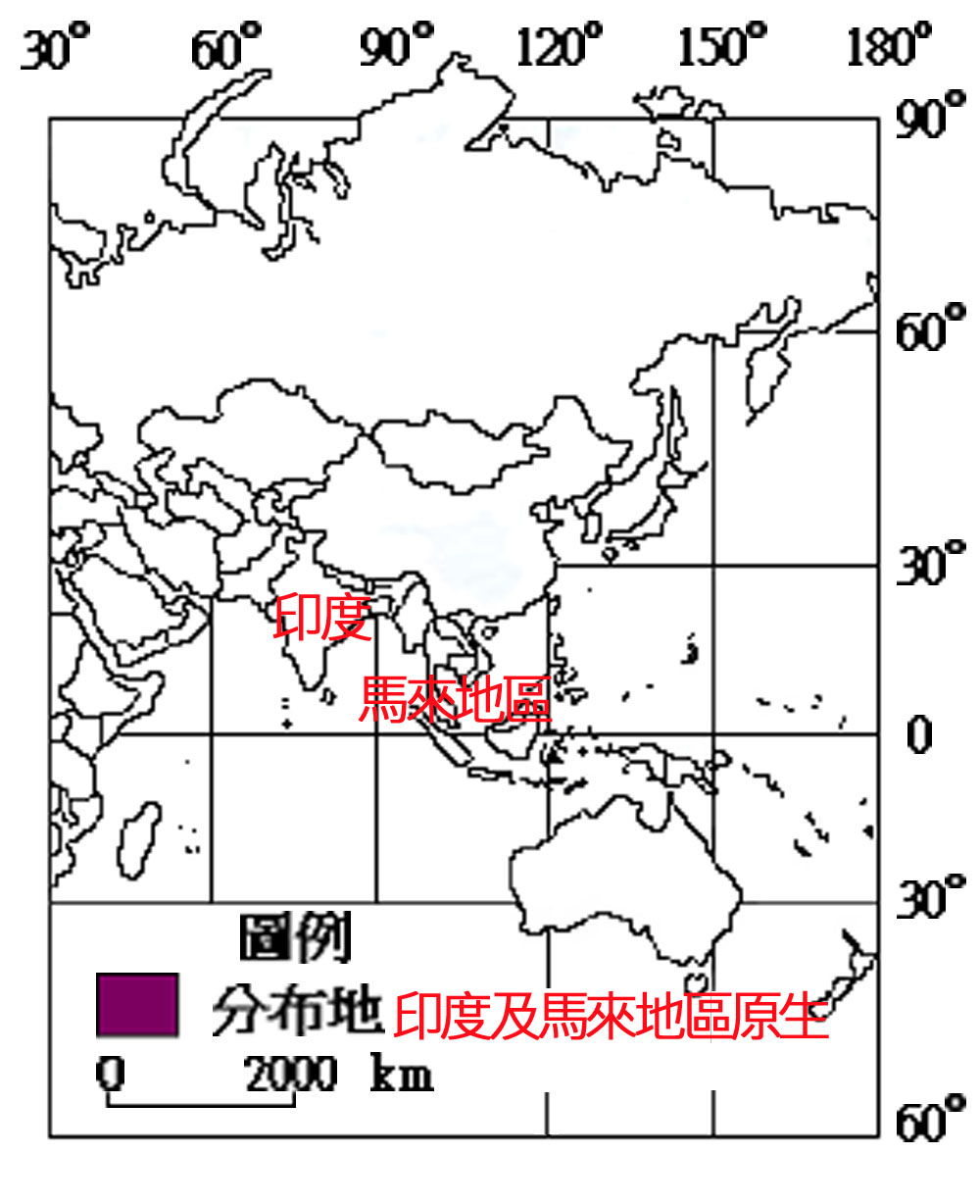 183-002木棉樹