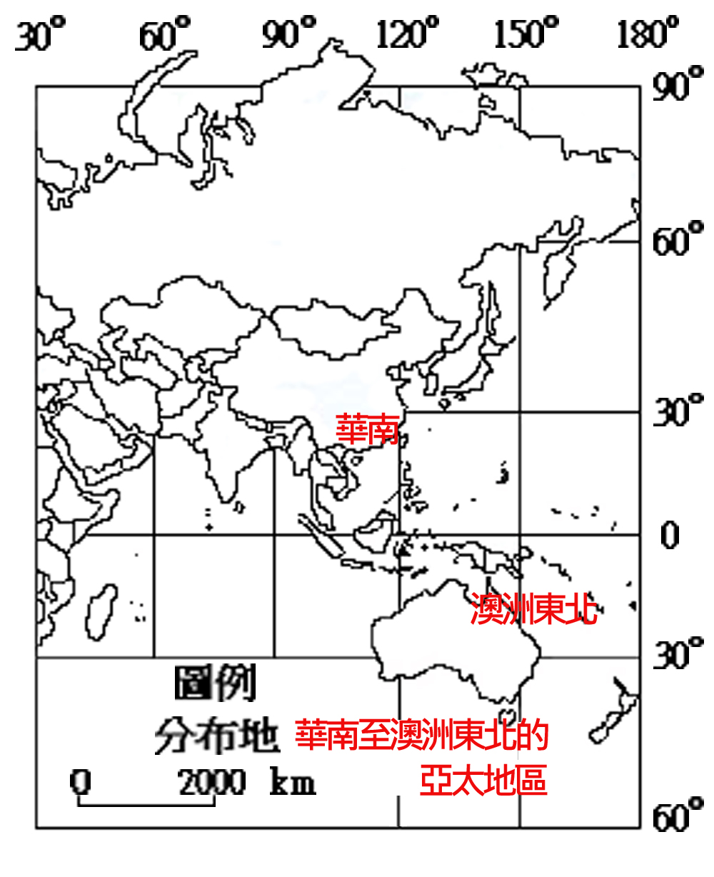 294-024木鱉果