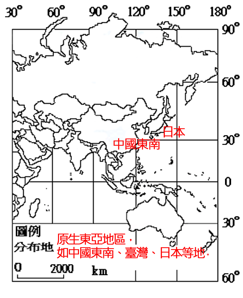 273-041仙草