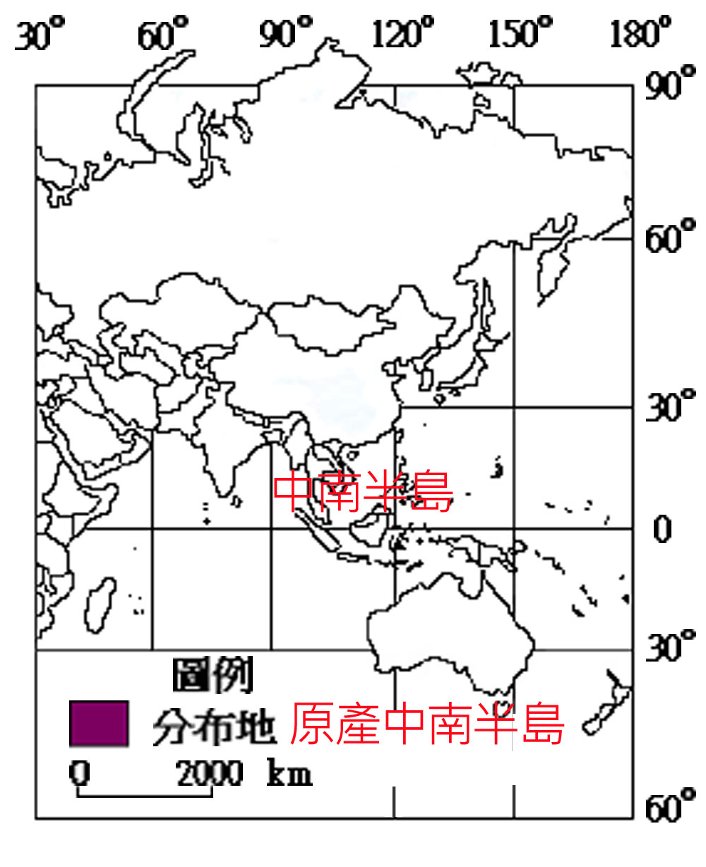 075-006-01 香辣蓼
