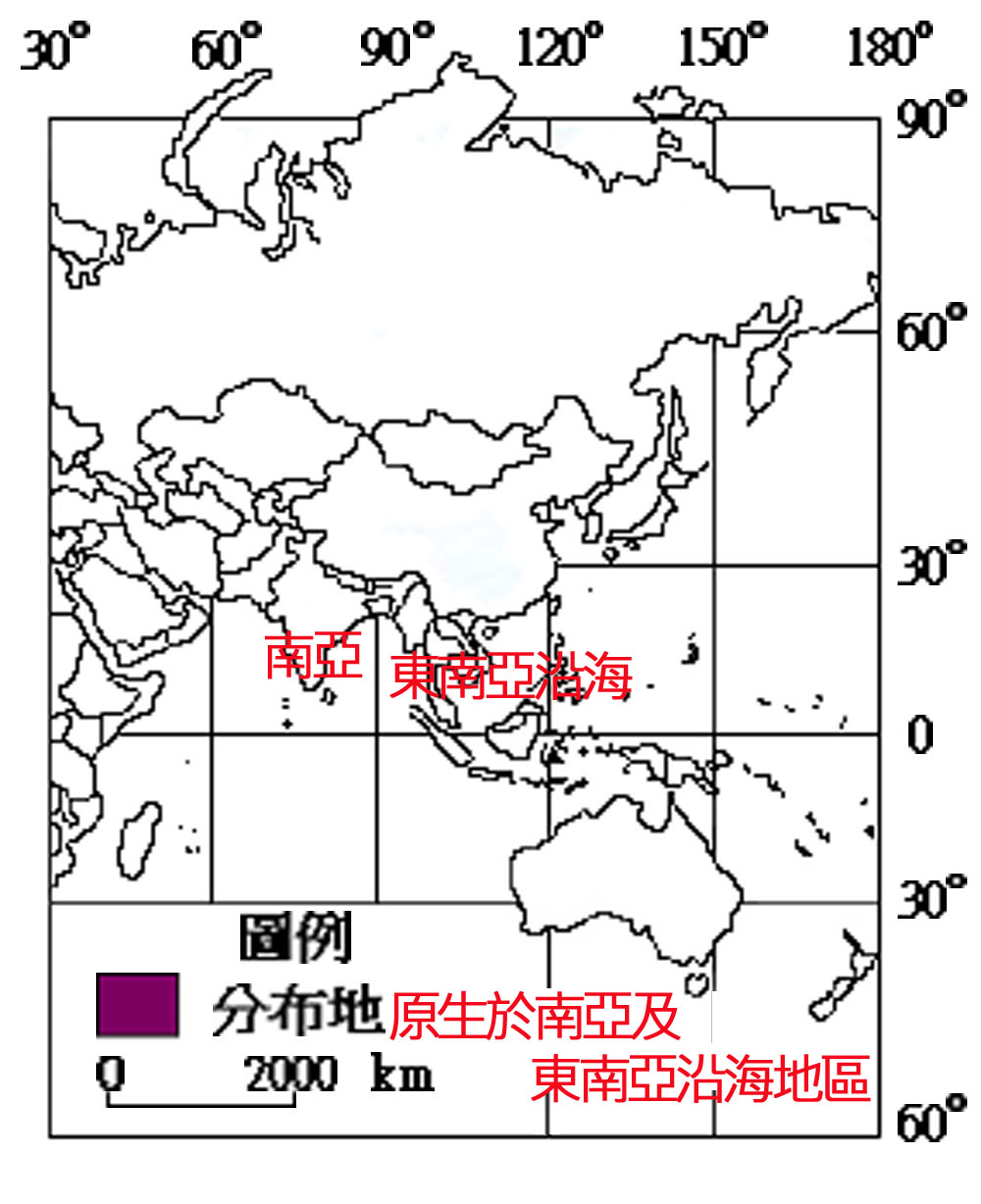 012-095檸檬香茅