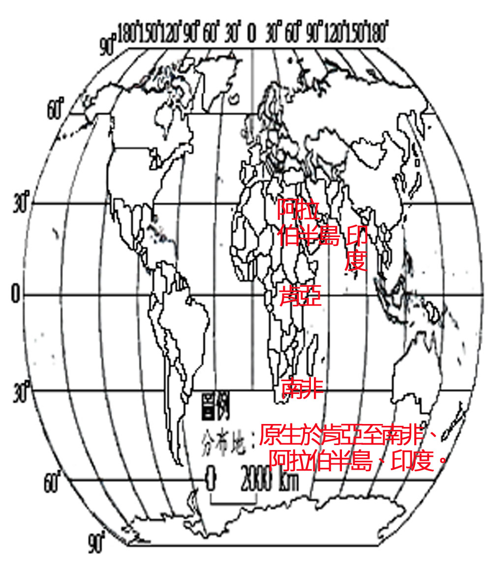 273-013-03 到手香