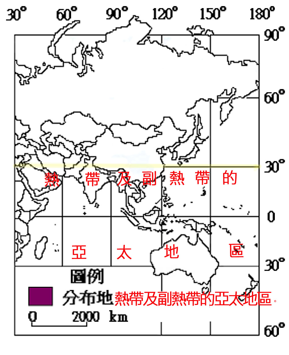 045-219 垂頭地寶蘭 