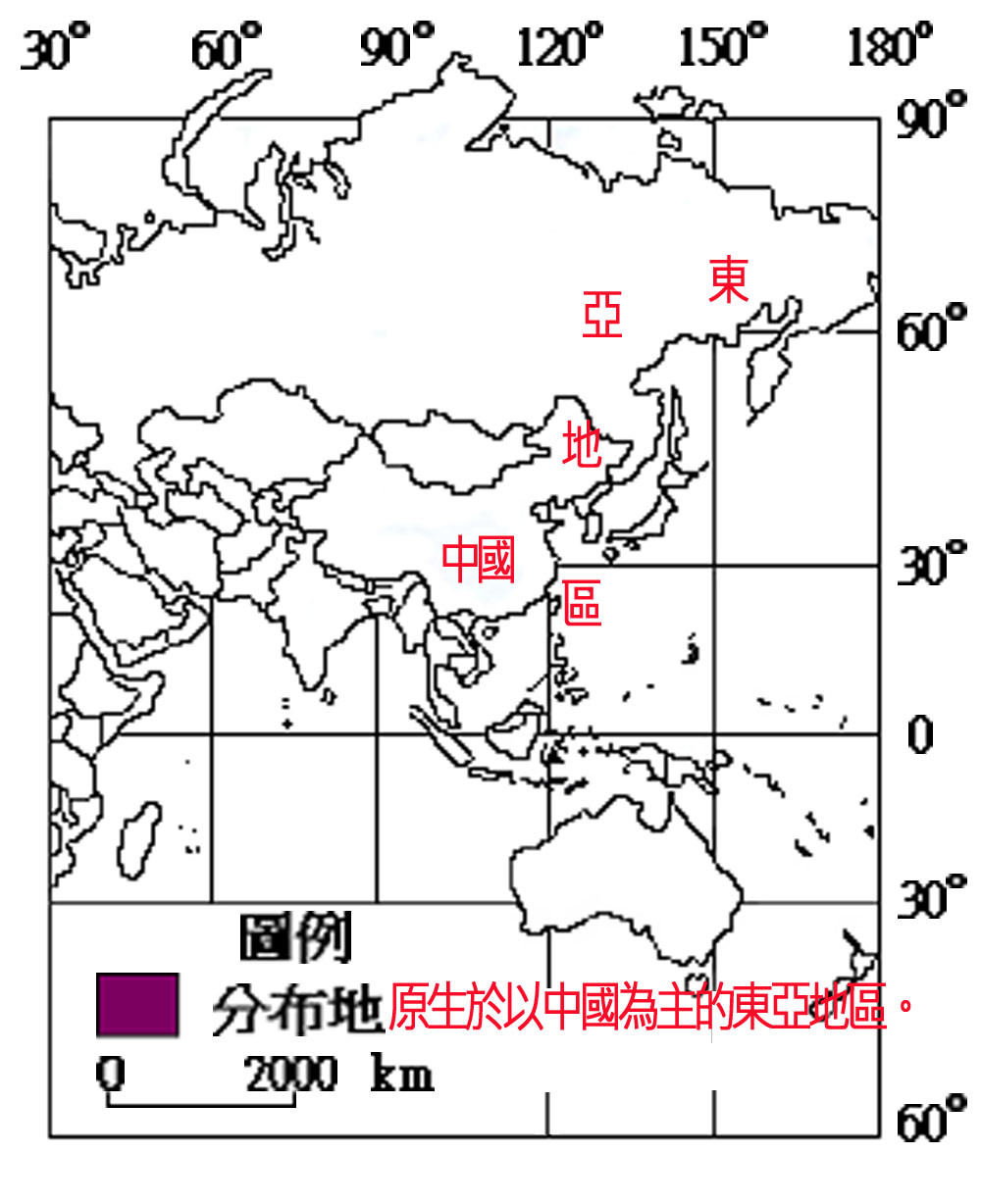 290-011忍冬