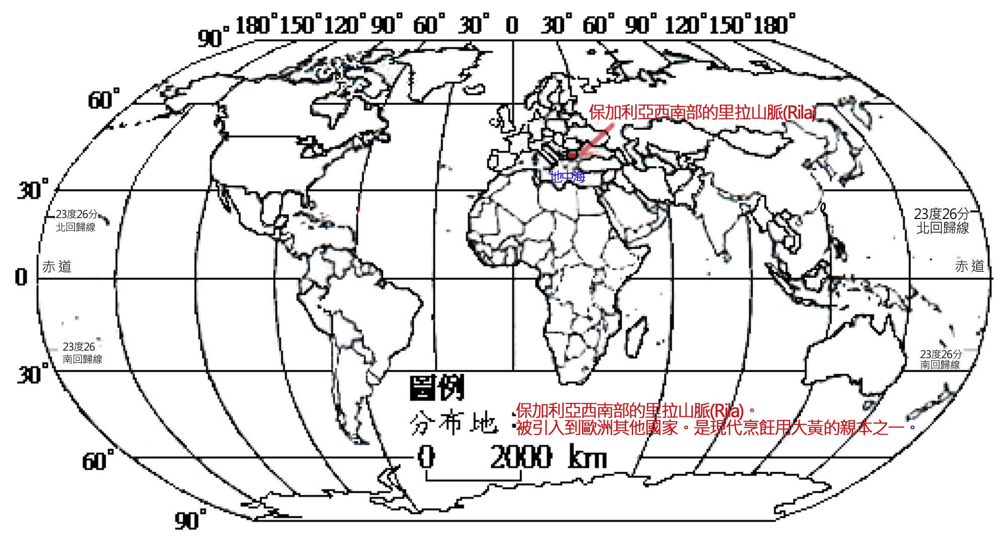 075-038-04食用大黃