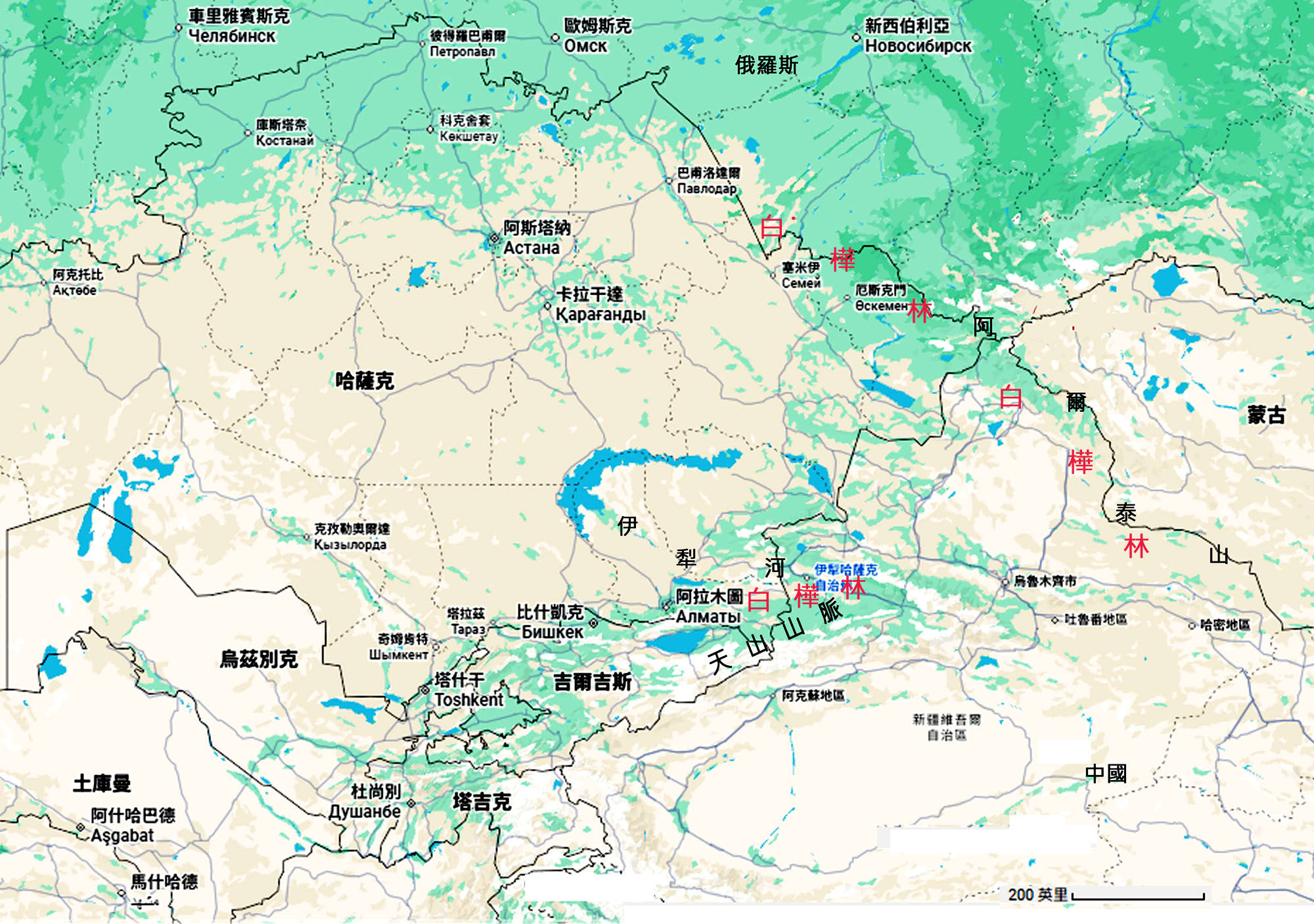 058-008-01白樺(以哈薩克為例) 