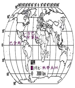 大王椰子主要分布地