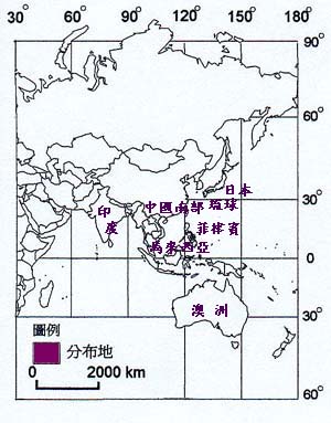 姑婆芋主要分布地