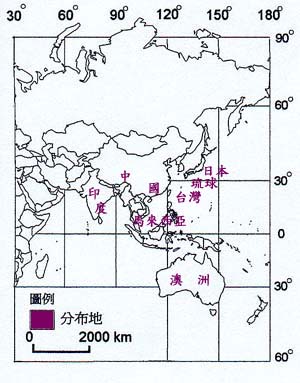 山黃麻主要分布地