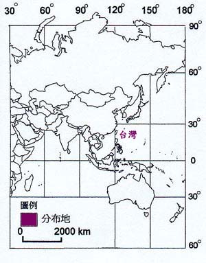 厚葉榕主要分布地