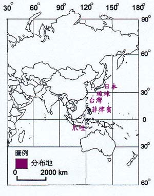 稜果榕主要分布地