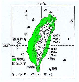 稜果榕