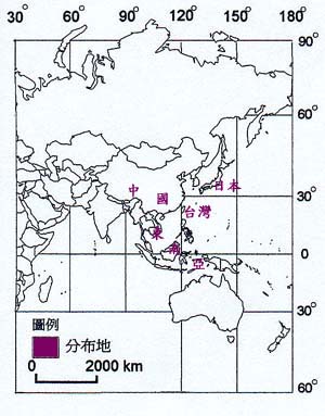 雀榕主要分布地