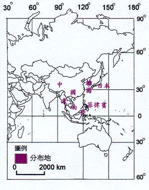 山苧麻主要分布地