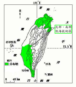 膜稃草