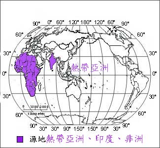 294-012f3.jpg (41000 bytes)