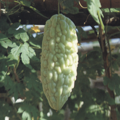 294-023f2.jpg (115924 bytes)