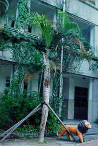 014-064f1.jpg (28480 bytes)