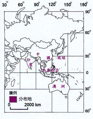 132c-307f3.jpg (32692 bytes)