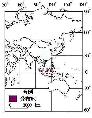 234-091f3.jpg (40052 bytes)