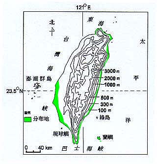 253-009f4.jpg (27581 bytes)