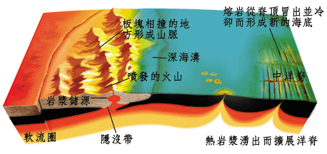 P10-1.gif (48588 bytes)