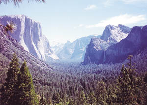 PHO10-16.jpg (25061 bytes)