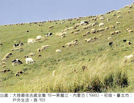 PHO5-2.gif (126115 bytes)