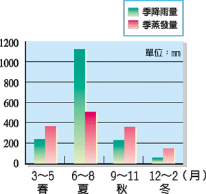 P6-2-2.gif (22080 bytes)