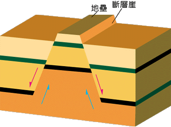 P7-4.gif (21146 bytes)