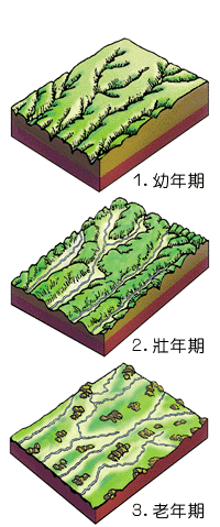 P8-3.gif (48031 bytes)