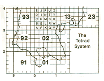 field_3b.gif (44699 bytes)